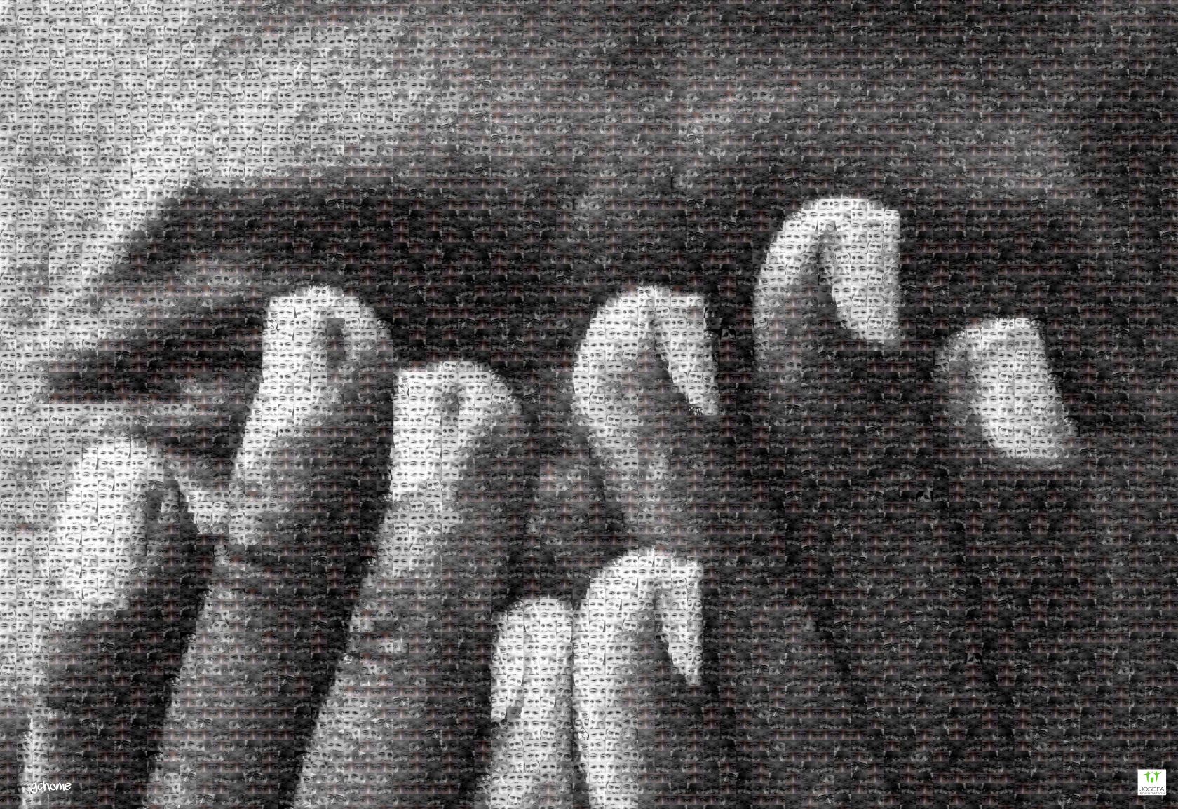 Équipe de la Fondation JOSEFA