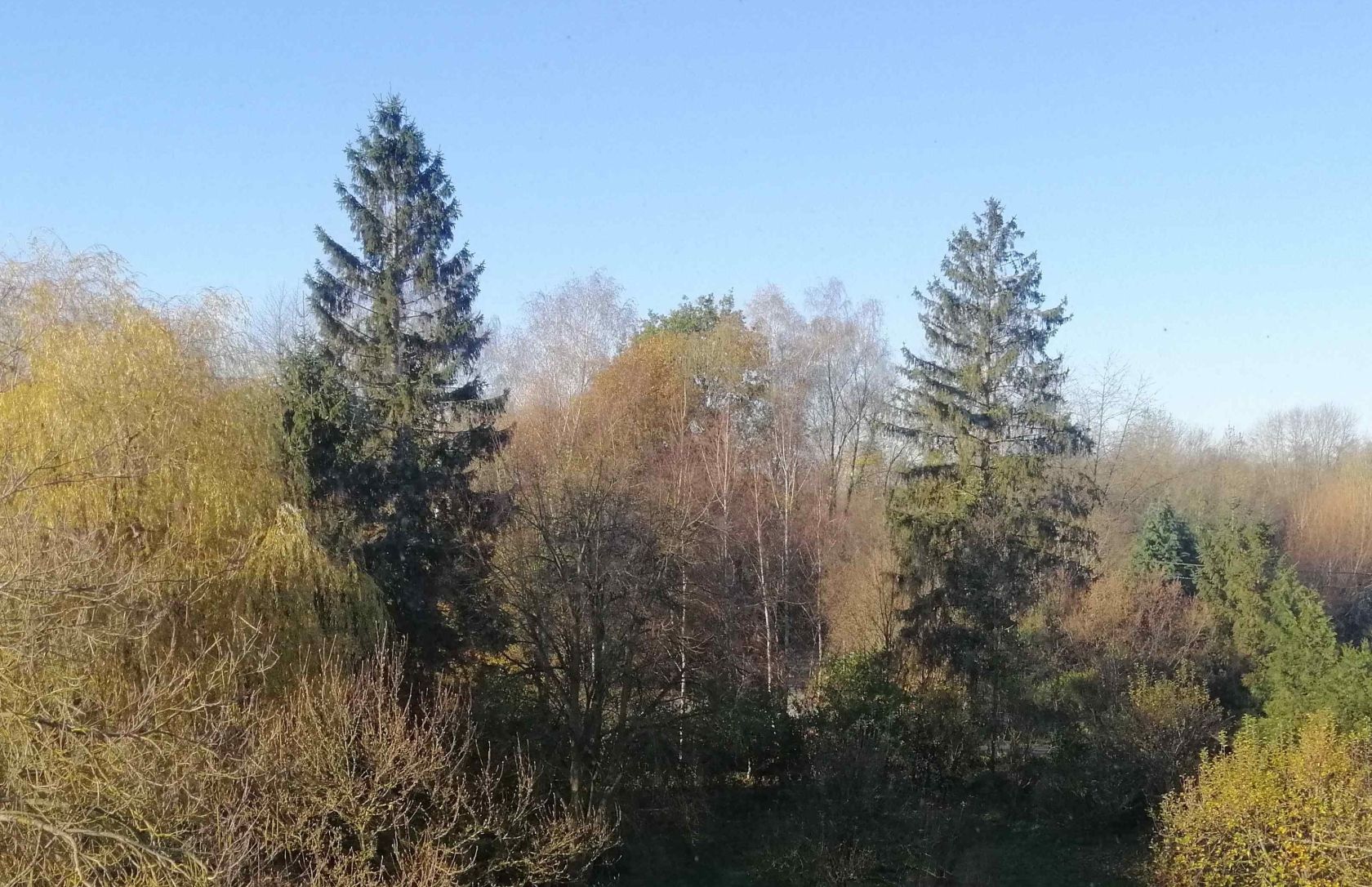 JOSEFA - Habitat - Ensemble, migrant