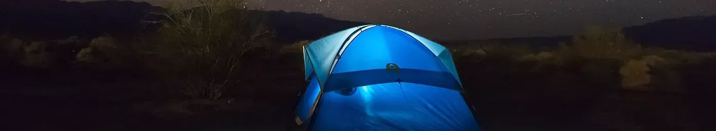 Dénes Nagy : A Face in the Distance