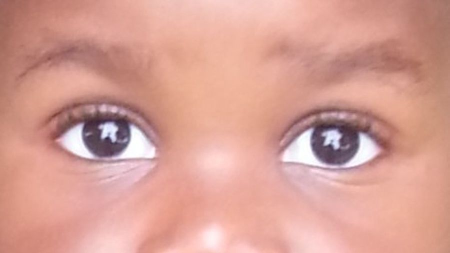 “All of us migrating, and me”