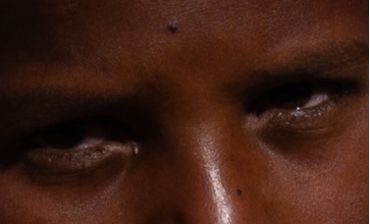 Migration et Politique