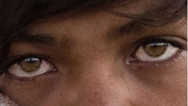 Regard anti « migrants »