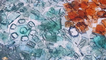 L’économie de la gratuité