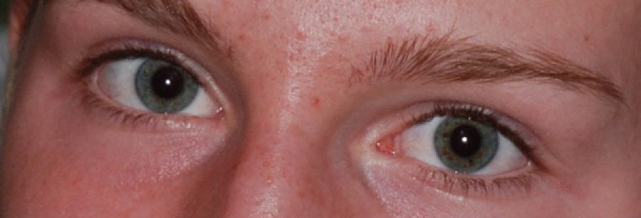 La migration comme processus de conquête