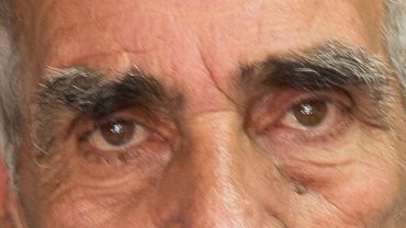 Constant Migration, Always Migration